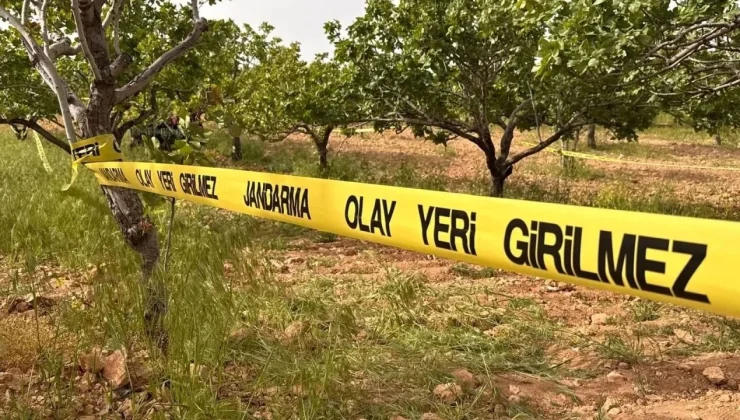 İNCİR BAHÇESİNDE SİLAHLAR KONUŞTU!